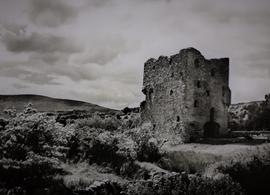 Kilmeedy Castle, County Cork