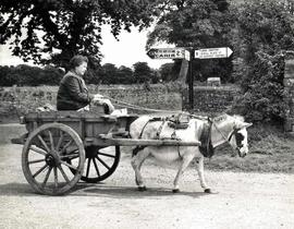 Woman on a Traditional Donkey and Cart, County Tipperary