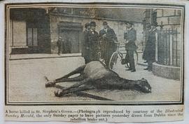 Horse killed in St. Stephen’s Green