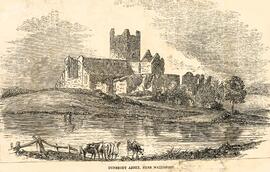 Dunbrody Abbey, County Wexford