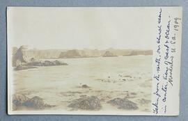 Mendocino Coast, California