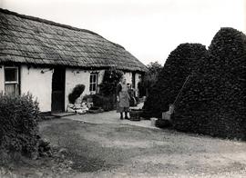 Cottage in Dunseverick, County Antrim