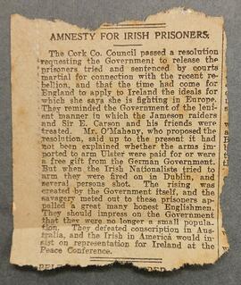 Amnesty for Irish Prisoners