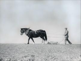 Farmer ploughing a field, West Cork