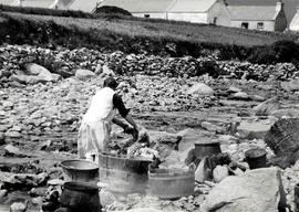 Washing Sheep Fleeces, Dooagh, Achill Island