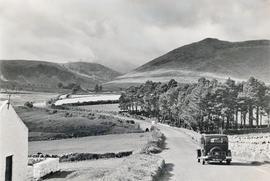 Spelga Pass, Mourne Mountains, County Down