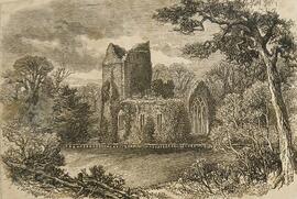 Muckross Abbey, County Kerry