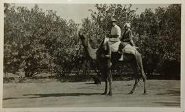 Father Walter on a camel