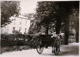 Mardyke Cottage, Mardyke Walk, Cork