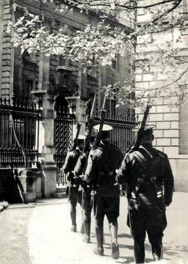 Changing of the Guard, Leinster House, Dublin