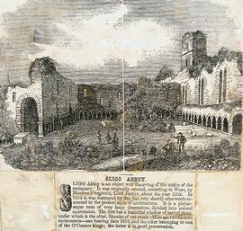 Sligo Abbey