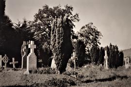 Old Church Cemetery, Cobh, County Cork