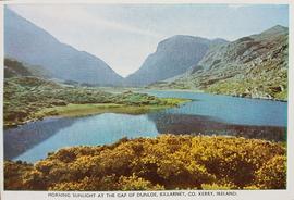 Morning Sunlight at the Gap of Dunloe, Killarney, County Kerry