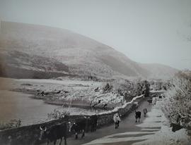 Road to Kenmare, County Kerry