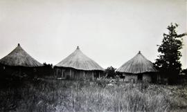 Traditional African Huts