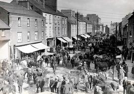 Ballinasloe Horse Fair, County Galway
