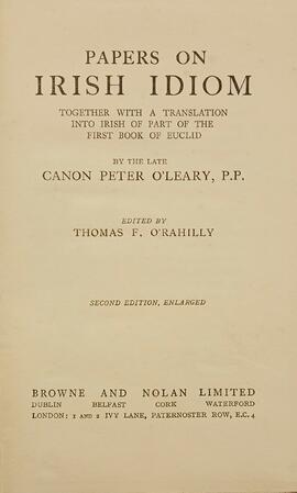 Papers on Irish idiom