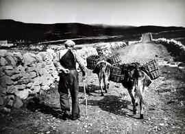 Going for Peat, Horn Head, County Donegal