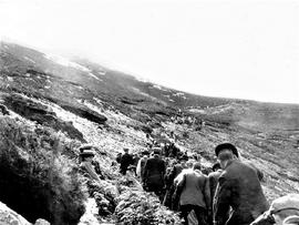 Croagh Patrick – 'Pilgrims Ascending’