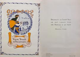 Card from Pádraig Ó Caoimh