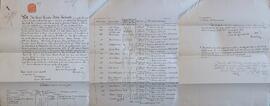 Copy Land Commission Conveyance Deed under the Incumbered Estates / Landed Estates Court Act regarding the lands of Rochestown, County Cork