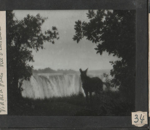 Open original Digital object