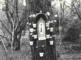 Lourdes shrine, in memory of Bl. Charles, Tobertynan Wood